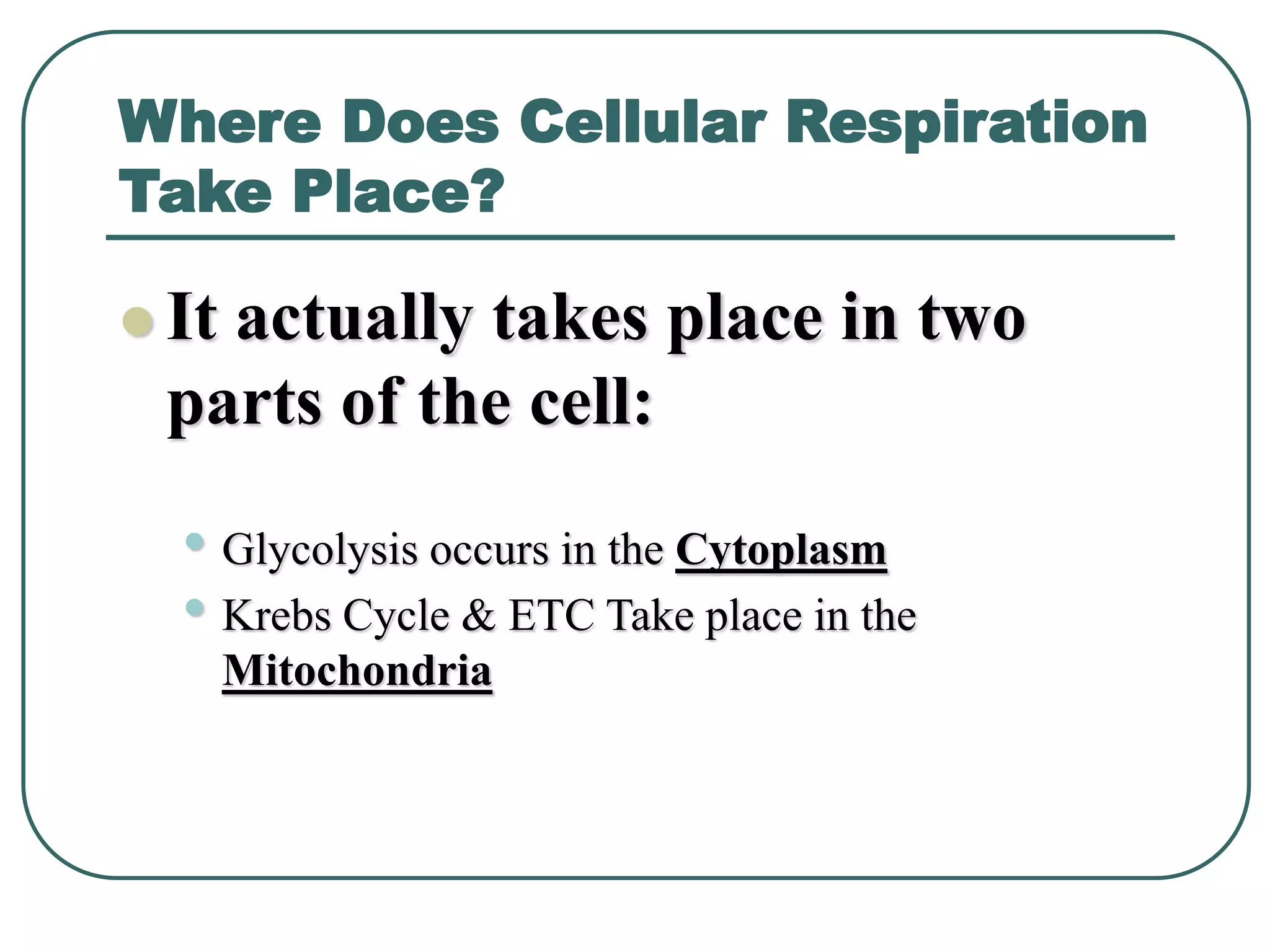 Where Does Cellular Respiration
Take Place?
 It actually takes place in two
parts of the cell:
• Glycolysis occurs in the Cytoplasm
• Krebs Cycle & ETC Take place in the
Mitochondria
 