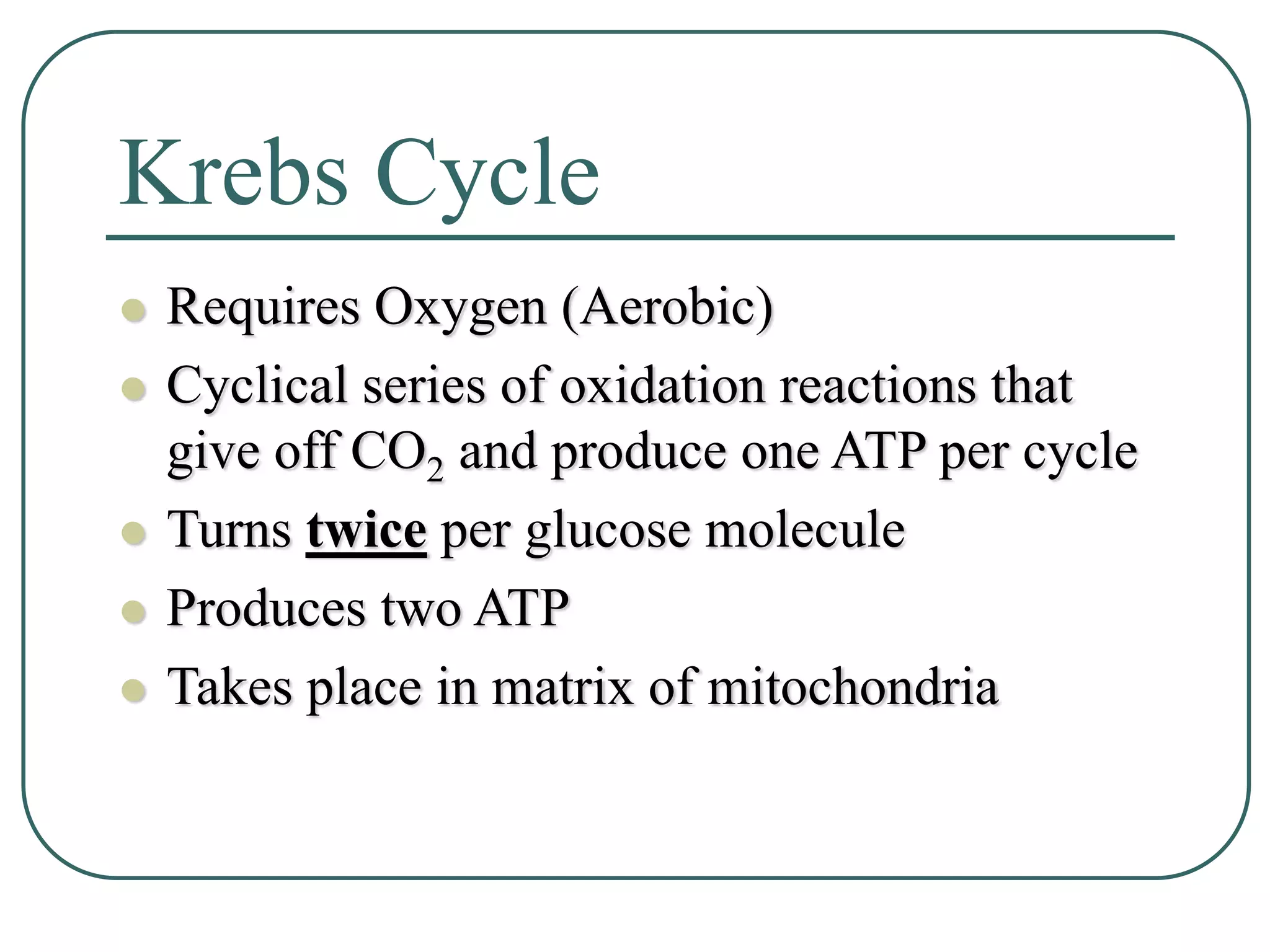 Krebs Cycle
 Requires Oxygen (Aerobic)
 Cyclical series of oxidation reactions that
give off CO2 and produce one ATP per cycle
 Turns twice per glucose molecule
 Produces two ATP
 Takes place in matrix of mitochondria
 