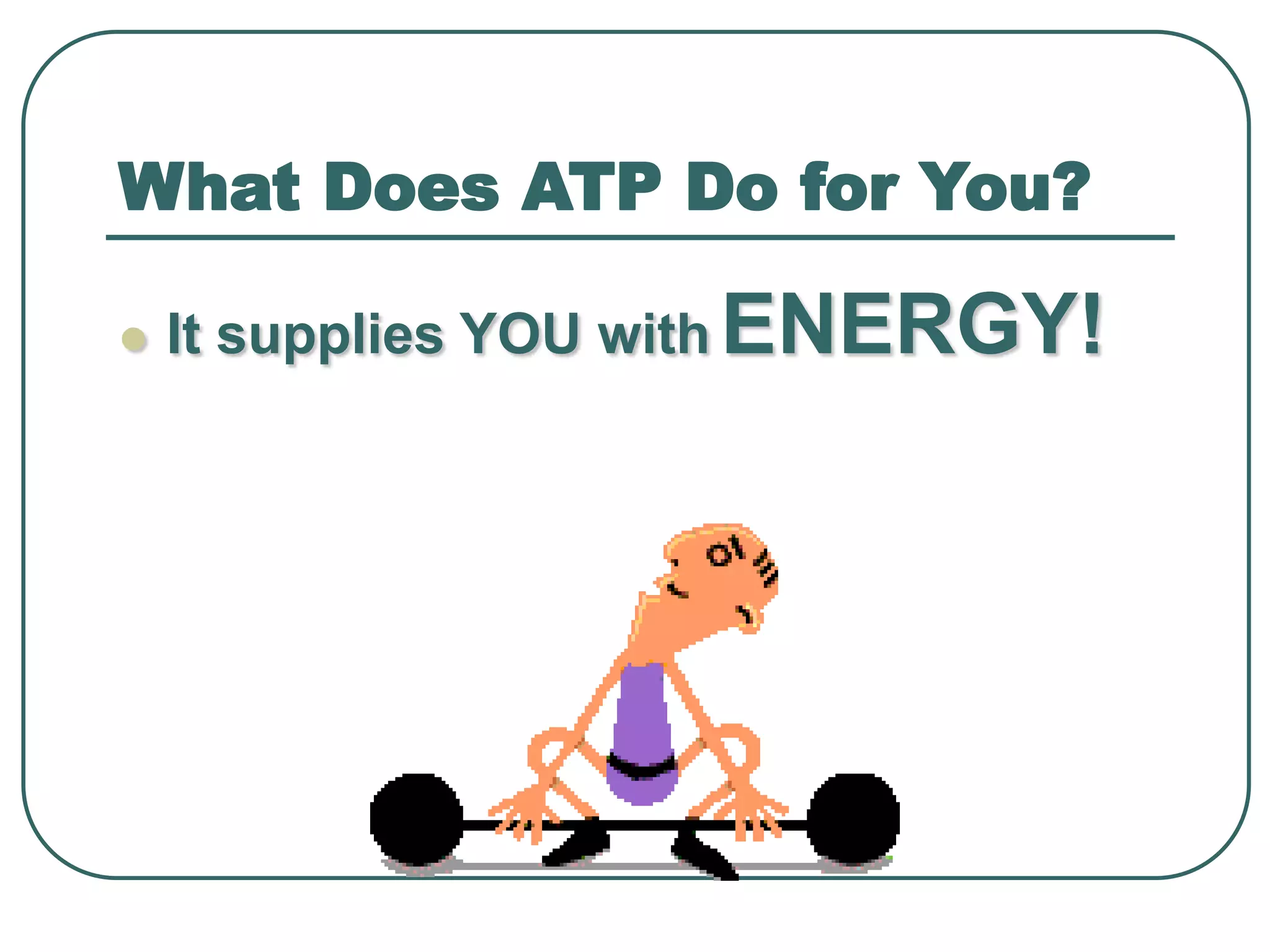What Does ATP Do for You?
 It supplies YOU with ENERGY!
 