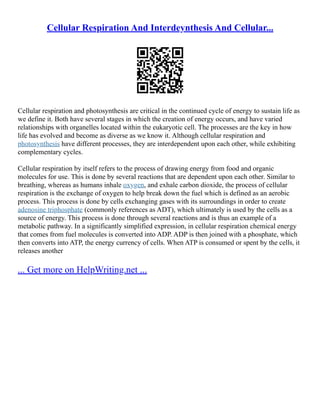 Cellular Respiration And Interdeynthesis And Cellular...
Cellular respiration and photosynthesis are critical in the continued cycle of energy to sustain life as
we define it. Both have several stages in which the creation of energy occurs, and have varied
relationships with organelles located within the eukaryotic cell. The processes are the key in how
life has evolved and become as diverse as we know it. Although cellular respiration and
photosynthesis have different processes, they are interdependent upon each other, while exhibiting
complementary cycles.
Cellular respiration by itself refers to the process of drawing energy from food and organic
molecules for use. This is done by several reactions that are dependent upon each other. Similar to
breathing, whereas as humans inhale oxygen, and exhale carbon dioxide, the process of cellular
respiration is the exchange of oxygen to help break down the fuel which is defined as an aerobic
process. This process is done by cells exchanging gases with its surroundings in order to create
adenosine triphosphate (commonly references as ADT), which ultimately is used by the cells as a
source of energy. This process is done through several reactions and is thus an example of a
metabolic pathway. In a significantly simplified expression, in cellular respiration chemical energy
that comes from fuel molecules is converted into ADP. ADP is then joined with a phosphate, which
then converts into ATP, the energy currency of cells. When ATP is consumed or spent by the cells, it
releases another
... Get more on HelpWriting.net ...
 