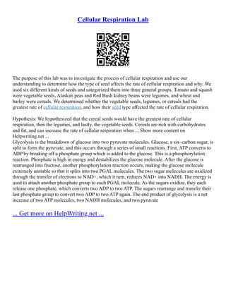 Cellular Respiration Lab
The purpose of this lab was to investigate the process of cellular respiration and use our
understanding to determine how the type of seed affects the rate of cellular respiration and why. We
used six different kinds of seeds and categorized them into three general groups. Tomato and squash
were vegetable seeds, Alaskan peas and Red Bush kidney beans were legumes, and wheat and
barley were cereals. We determined whether the vegetable seeds, legumes, or cereals had the
greatest rate of cellular respiration, and how their seed type affected the rate of cellular respiration.
Hypothesis: We hypothesized that the cereal seeds would have the greatest rate of cellular
respiration, then the legumes, and lastly, the vegetable seeds. Cereals are rich with carbohydrates
and fat, and can increase the rate of cellular respiration when ... Show more content on
Helpwriting.net ...
Glycolysis is the breakdown of glucose into two pyruvate molecules. Glucose, a six–carbon sugar, is
split to form the pyruvate, and this occurs through a series of small reactions. First, ATP converts to
ADP by breaking off a phosphate group which is added to the glucose. This is a phosphorylation
reaction. Phosphate is high in energy and destabilizes the glucose molecule. After the glucose is
rearranged into fructose, another phosphorylation reaction occurs, making the glucose molecule
extremely unstable so that it splits into two PGAL molecules. The two sugar molecules are oxidized
through the transfer of electrons to NAD+, which it turn, reduces NAD+ into NADH. The energy is
used to attach another phosphate group to each PGAL molecule. As the sugars oxidize, they each
release one phosphate, which converts two ADP to two ATP. The sugars rearrange and transfer their
last phosphate group to convert two ADP to two ATP again. The end product of glycolysis is a net
increase of two ATP molecules, two NADH molecules, and two pyruvate
... Get more on HelpWriting.net ...
 