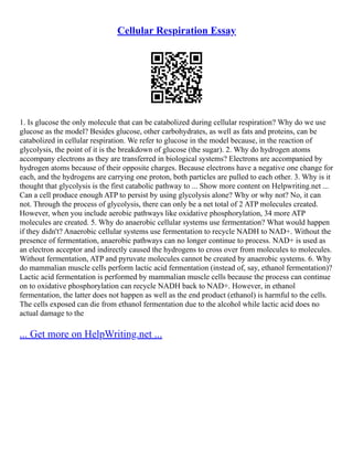 Cellular Respiration Essay
1. Is glucose the only molecule that can be catabolized during cellular respiration? Why do we use
glucose as the model? Besides glucose, other carbohydrates, as well as fats and proteins, can be
catabolized in cellular respiration. We refer to glucose in the model because, in the reaction of
glycolysis, the point of it is the breakdown of glucose (the sugar). 2. Why do hydrogen atoms
accompany electrons as they are transferred in biological systems? Electrons are accompanied by
hydrogen atoms because of their opposite charges. Because electrons have a negative one change for
each, and the hydrogens are carrying one proton, both particles are pulled to each other. 3. Why is it
thought that glycolysis is the first catabolic pathway to ... Show more content on Helpwriting.net ...
Can a cell produce enough ATP to persist by using glycolysis alone? Why or why not? No, it can
not. Through the process of glycolysis, there can only be a net total of 2 ATP molecules created.
However, when you include aerobic pathways like oxidative phosphorylation, 34 more ATP
molecules are created. 5. Why do anaerobic cellular systems use fermentation? What would happen
if they didn't? Anaerobic cellular systems use fermentation to recycle NADH to NAD+. Without the
presence of fermentation, anaerobic pathways can no longer continue to process. NAD+ is used as
an electron acceptor and indirectly caused the hydrogens to cross over from molecules to molecules.
Without fermentation, ATP and pyruvate molecules cannot be created by anaerobic systems. 6. Why
do mammalian muscle cells perform lactic acid fermentation (instead of, say, ethanol fermentation)?
Lactic acid fermentation is performed by mammalian muscle cells because the process can continue
on to oxidative phosphorylation can recycle NADH back to NAD+. However, in ethanol
fermentation, the latter does not happen as well as the end product (ethanol) is harmful to the cells.
The cells exposed can die from ethanol fermentation due to the alcohol while lactic acid does no
actual damage to the
... Get more on HelpWriting.net ...
 