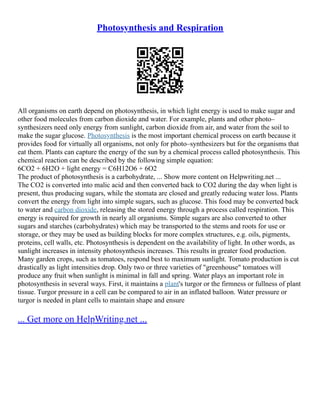 Photosynthesis and Respiration
All organisms on earth depend on photosynthesis, in which light energy is used to make sugar and
other food molecules from carbon dioxide and water. For example, plants and other photo–
synthesizers need only energy from sunlight, carbon dioxide from air, and water from the soil to
make the sugar glucose. Photosynthesis is the most important chemical process on earth because it
provides food for virtually all organisms, not only for photo–synthesizers but for the organisms that
eat them. Plants can capture the energy of the sun by a chemical process called photosynthesis. This
chemical reaction can be described by the following simple equation:
6CO2 + 6H2O + light energy = C6H12O6 + 6O2
The product of photosynthesis is a carbohydrate, ... Show more content on Helpwriting.net ...
The CO2 is converted into malic acid and then converted back to CO2 during the day when light is
present, thus producing sugars, while the stomata are closed and greatly reducing water loss. Plants
convert the energy from light into simple sugars, such as glucose. This food may be converted back
to water and carbon dioxide, releasing the stored energy through a process called respiration. This
energy is required for growth in nearly all organisms. Simple sugars are also converted to other
sugars and starches (carbohydrates) which may be transported to the stems and roots for use or
storage, or they may be used as building blocks for more complex structures, e.g. oils, pigments,
proteins, cell walls, etc. Photosynthesis is dependent on the availability of light. In other words, as
sunlight increases in intensity photosynthesis increases. This results in greater food production.
Many garden crops, such as tomatoes, respond best to maximum sunlight. Tomato production is cut
drastically as light intensities drop. Only two or three varieties of "greenhouse" tomatoes will
produce any fruit when sunlight is minimal in fall and spring. Water plays an important role in
photosynthesis in several ways. First, it maintains a plant's turgor or the firmness or fullness of plant
tissue. Turgor pressure in a cell can be compared to air in an inflated balloon. Water pressure or
turgor is needed in plant cells to maintain shape and ensure
... Get more on HelpWriting.net ...
 