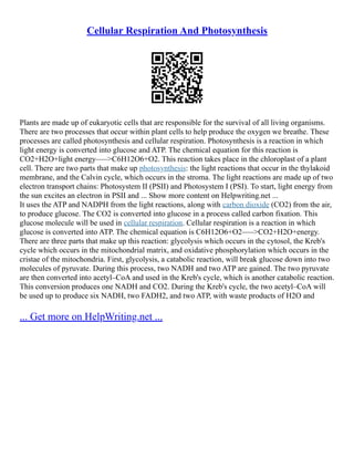 Cellular Respiration And Photosynthesis
Plants are made up of eukaryotic cells that are responsible for the survival of all living organisms.
There are two processes that occur within plant cells to help produce the oxygen we breathe. These
processes are called photosynthesis and cellular respiration. Photosynthesis is a reaction in which
light energy is converted into glucose and ATP. The chemical equation for this reaction is
CO2+H2O+light energy–––>C6H12O6+O2. This reaction takes place in the chloroplast of a plant
cell. There are two parts that make up photosynthesis: the light reactions that occur in the thylakoid
membrane, and the Calvin cycle, which occurs in the stroma. The light reactions are made up of two
electron transport chains: Photosystem II (PSII) and Photosystem I (PSI). To start, light energy from
the sun excites an electron in PSII and ... Show more content on Helpwriting.net ...
It uses the ATP and NADPH from the light reactions, along with carbon dioxide (CO2) from the air,
to produce glucose. The CO2 is converted into glucose in a process called carbon fixation. This
glucose molecule will be used in cellular respiration. Cellular respiration is a reaction in which
glucose is converted into ATP. The chemical equation is C6H12O6+O2–––>CO2+H2O+energy.
There are three parts that make up this reaction: glycolysis which occurs in the cytosol, the Kreb's
cycle which occurs in the mitochondrial matrix, and oxidative phosphorylation which occurs in the
cristae of the mitochondria. First, glycolysis, a catabolic reaction, will break glucose down into two
molecules of pyruvate. During this process, two NADH and two ATP are gained. The two pyruvate
are then converted into acetyl–CoA and used in the Kreb's cycle, which is another catabolic reaction.
This conversion produces one NADH and CO2. During the Kreb's cycle, the two acetyl–CoA will
be used up to produce six NADH, two FADH2, and two ATP, with waste products of H2O and
... Get more on HelpWriting.net ...
 