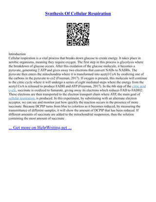 Synthesis Of Cellular Respiration
Introduction
Cellular respiration is a vital process that breaks down glucose to create energy. It takes place in
aerobic organisms, meaning they require oxygen. The first step in this process is glycolysis where
the breakdown of glucose occurs. After this oxidation of the glucose molecule, it becomes a
pyruvate, generating 2 ATP and gives away two electrons that convert NADs to NADHs. The
pyruvate then enters the mitochondria where it is transformed into acetyl CoA by oxidizing one of
the carbons in the pyruvate to co2 (Freeman, 2017). If oxygen is present, this molecule will continue
to the citric cycle where it will undergo a series of eight mediated steps where the energy from the
acetyl CoA is released to produce FADH and ATP (Freeman, 2017). In the 6th step of the citric acid
cycle, succinate is oxidized to fumarate, giving away its electrons which reduces FAD to FADH2.
These electrons are then transported to the electron transport chain where ATP, the main goal of
cellular respiration, is produced. In this experiment, by substituting with an alternate electron
acceptor, we can see and monitor just how quickly the reaction occurs in the presence of more
succinate. Because DCPIP turns from blue to colorless as it becomes reduced, by measuring the
transmittance of different samples, it will show the amount of DCPIP that has been reduced. If
different amounts of succinate are added to the mitochondrial suspension, then the solution
containing the most amount of succinate
... Get more on HelpWriting.net ...
 