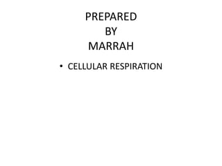 PREPARED
BY
MARRAH
• CELLULAR RESPIRATION
 