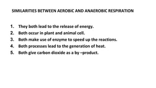 SIMILARITIES BETWEEN AEROBIC AND ANAEROBIC RESPIRATION
1. They both lead to the release of energy.
2. Both occur in plant and animal cell.
3. Both make use of enzyme to speed up the reactions.
4. Both processes lead to the generation of heat.
5. Both give carbon dioxide as a by –product.
 