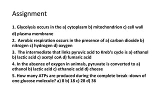 Assignment
1. Glycolysis occurs in the a) cytoplasm b) mitochondrion c) cell wall
d) plasma membrane
2. Aerobic respiration occurs in the presence of a) carbon dioxide b)
nitrogen c) hydrogen d) oxygen
3. The intermediate that links pyruvic acid to Kreb’s cycle is a) ethanol
b) lactic acid c) acetyl coA d) fumaric acid
4. In the absence of oxygen in animals, pyruvate is converted to a)
ethanol b) lactic acid c) ethanoic acid d) cheese
5. How many ATPs are produced during the complete break -down of
one glucose molecule? a) 8 b) 18 c) 28 d) 36
 