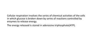 Cellular respiration involves the series of chemical activities of the cells
in which glucose is broken down by series of reactions controlled by
enzymes to release energy.
The energy released is stored in adenosine triphosphate(ATP).
 