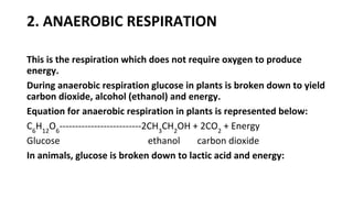 2. ANAEROBIC RESPIRATION
This is the respiration which does not require oxygen to produce
energy.
During anaerobic respiration glucose in plants is broken down to yield
carbon dioxide, alcohol (ethanol) and energy.
Equation for anaerobic respiration in plants is represented below:
C6
H12
O6
--------------------------2CH3
CH2
OH + 2CO2
+ Energy
Glucose ethanol carbon dioxide
In animals, glucose is broken down to lactic acid and energy:
 