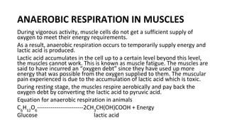 ANAEROBIC RESPIRATION IN MUSCLES
During vigorous activity, muscle cells do not get a sufficient supply of
oxygen to meet their energy requirements.
As a result, anaerobic respiration occurs to temporarily supply energy and
lactic acid is produced.
Lactic acid accumulates in the cell up to a certain level beyond this level,
the muscles cannot work. This is known as muscle fatigue. The muscles are
said to have incurred an “oxygen debt” since they have used up more
energy that was possible from the oxygen supplied to them. The muscular
pain experienced is due to the accumulation of lactic acid which is toxic.
During resting stage, the muscles respire aerobically and pay back the
oxygen debt by converting the lactic acid to pyruvic acid.
Equation for anaerobic respiration in animals
C6
H12
O6
------------------------2CH3
CH(OH)COOH + Energy
Glucose lactic acid
 