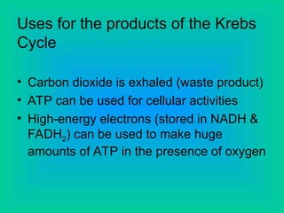 Uses for the products of the Krebs
Cycle
• Carbon dioxide is exhaled (waste product)
• ATP can be used for cellular activities
• High-energy electrons (stored in NADH &
FADH2) can be used to make huge
amounts of ATP in the presence of oxygen
 