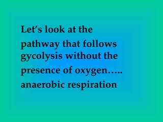 Let’s look at the
pathway that follows
gycolysis without the
presence of oxygen…..
anaerobic respiration
 