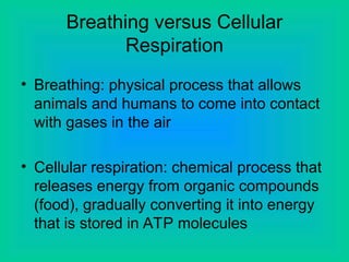Breathing versus Cellular
Respiration
• Breathing: physical process that allows
animals and humans to come into contact
with gases in the air
• Cellular respiration: chemical process that
releases energy from organic compounds
(food), gradually converting it into energy
that is stored in ATP molecules
 