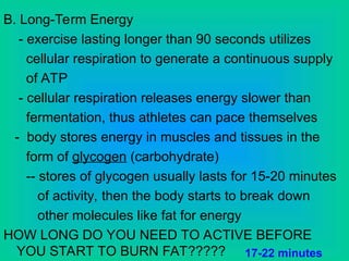 B. Long-Term Energy
- exercise lasting longer than 90 seconds utilizes
cellular respiration to generate a continuous supply
of ATP
- cellular respiration releases energy slower than
fermentation, thus athletes can pace themselves
- body stores energy in muscles and tissues in the
form of glycogen (carbohydrate)
-- stores of glycogen usually lasts for 15-20 minutes
of activity, then the body starts to break down
other molecules like fat for energy
HOW LONG DO YOU NEED TO ACTIVE BEFORE
YOU START TO BURN FAT????? 17-22 minutes
 