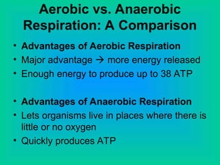 Aerobic vs. Anaerobic
Respiration: A Comparison
• Advantages of Aerobic Respiration
• Major advantage  more energy released
• Enough energy to produce up to 38 ATP
• Advantages of Anaerobic Respiration
• Lets organisms live in places where there is
little or no oxygen
• Quickly produces ATP
 