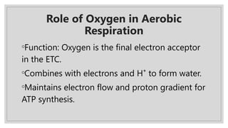 Role of Oxygen in Aerobic
Respiration
◦Function: Oxygen is the final electron acceptor
in the ETC.
◦Combines with electrons and H⁺ to form water.
◦Maintains electron flow and proton gradient for
ATP synthesis.
 