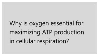 Why is oxygen essential for
maximizing ATP production
in cellular respiration?
 