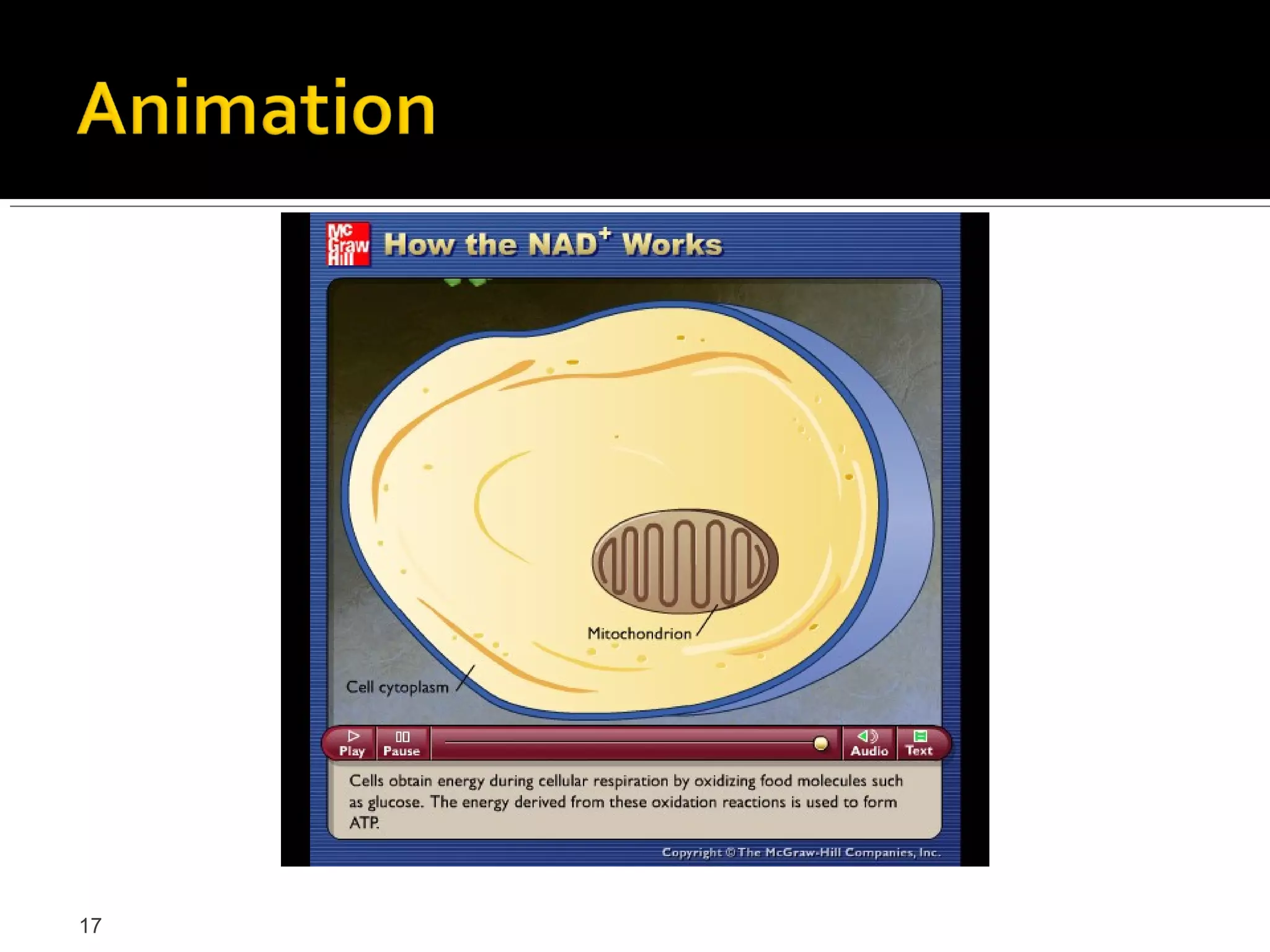 Please note that due to differing
     operating systems, some animations
     will not appear until the presentation is
     viewed in Presentation Mode (Slide
     Show view). You may see blank slides
     in the “Normal” or “Slide Sorter” views.
     All animations will appear after viewing
     in Presentation Mode and playing each
     animation. Most animations will require
     the latest version of the Flash Player,
     which is available at
     http://get.adobe.com/flashplayer.




17
 