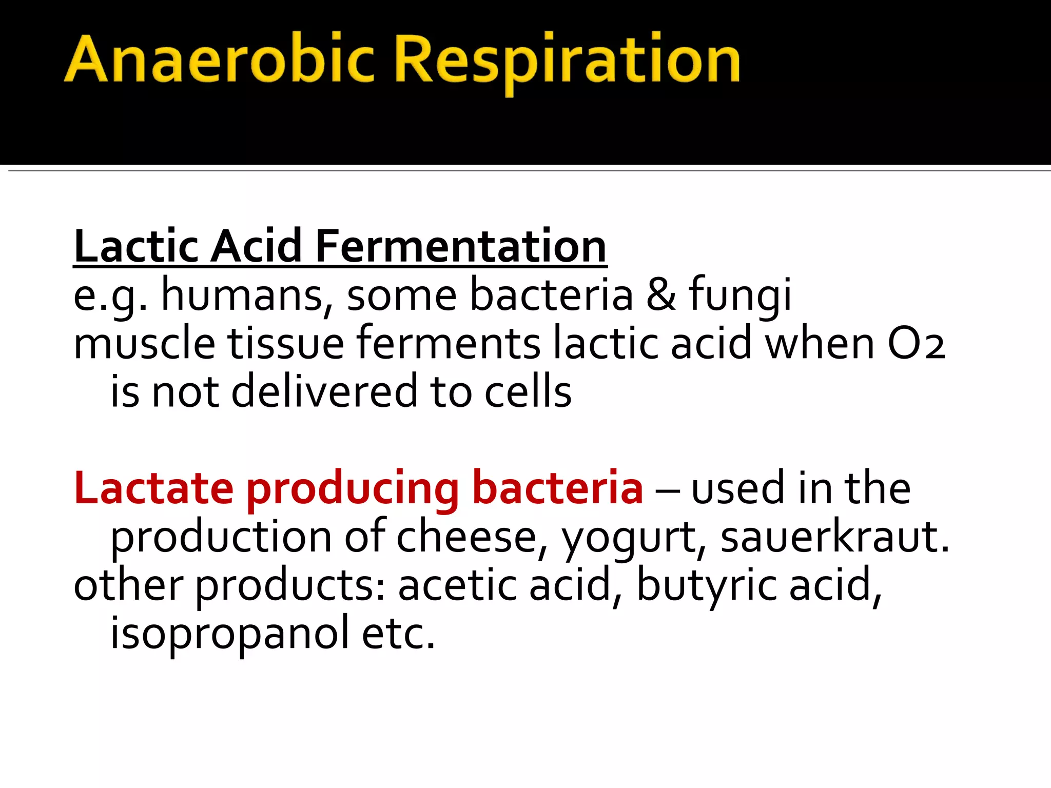 Lactic Acid Fermentation
e.g. humans, some bacteria & fungi
muscle tissue ferments lactic acid when O2
  is not delivered to cells
Lactate producing bacteria – used in the
  production of cheese, yogurt, sauerkraut.
other products: acetic acid, butyric acid,
  isopropanol etc.
 