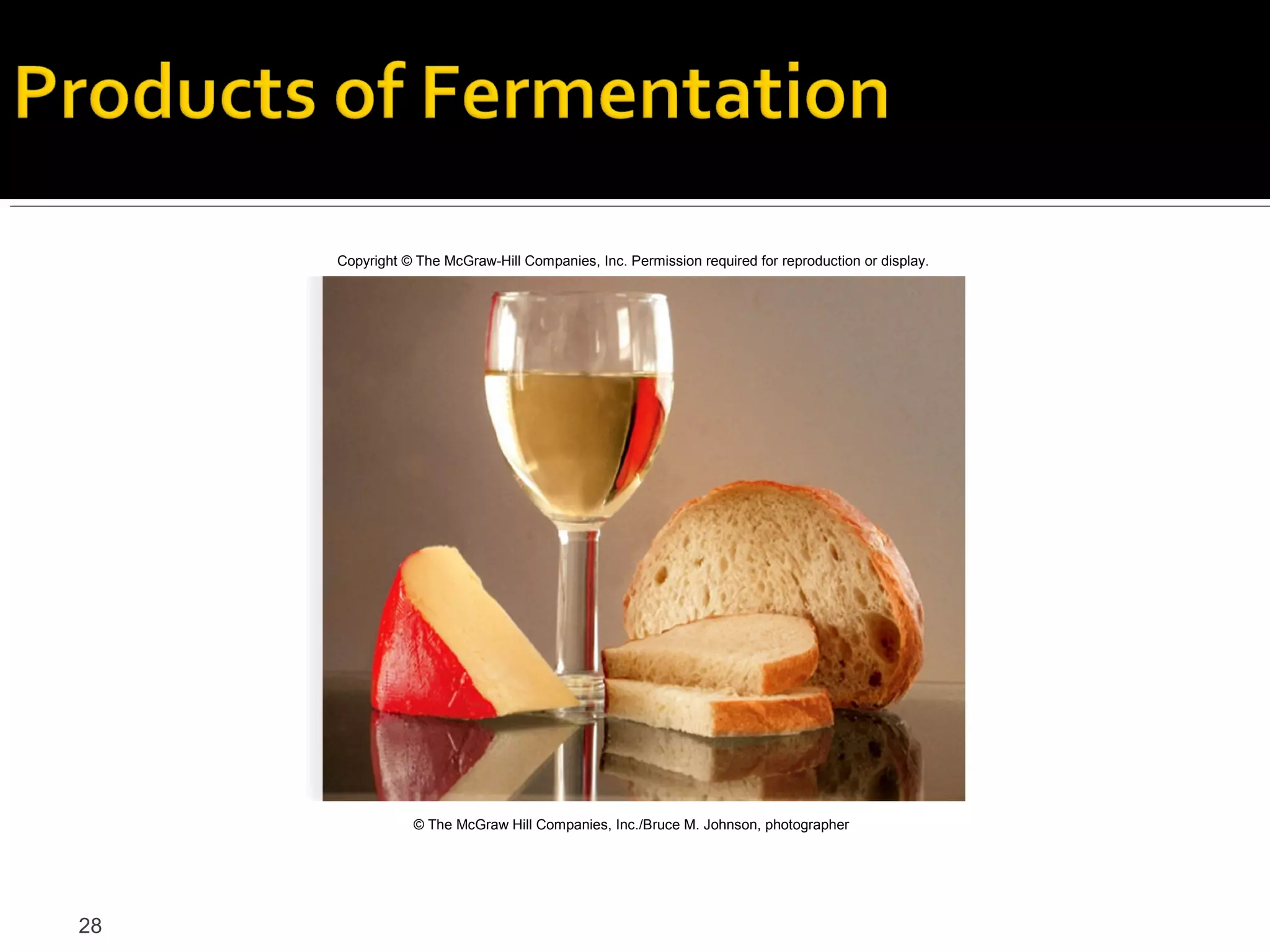 Copyright © The McGraw-Hill Companies, Inc. Permission required for reproduction or display.




                © The McGraw Hill Companies, Inc./Bruce M. Johnson, photographer




28
 