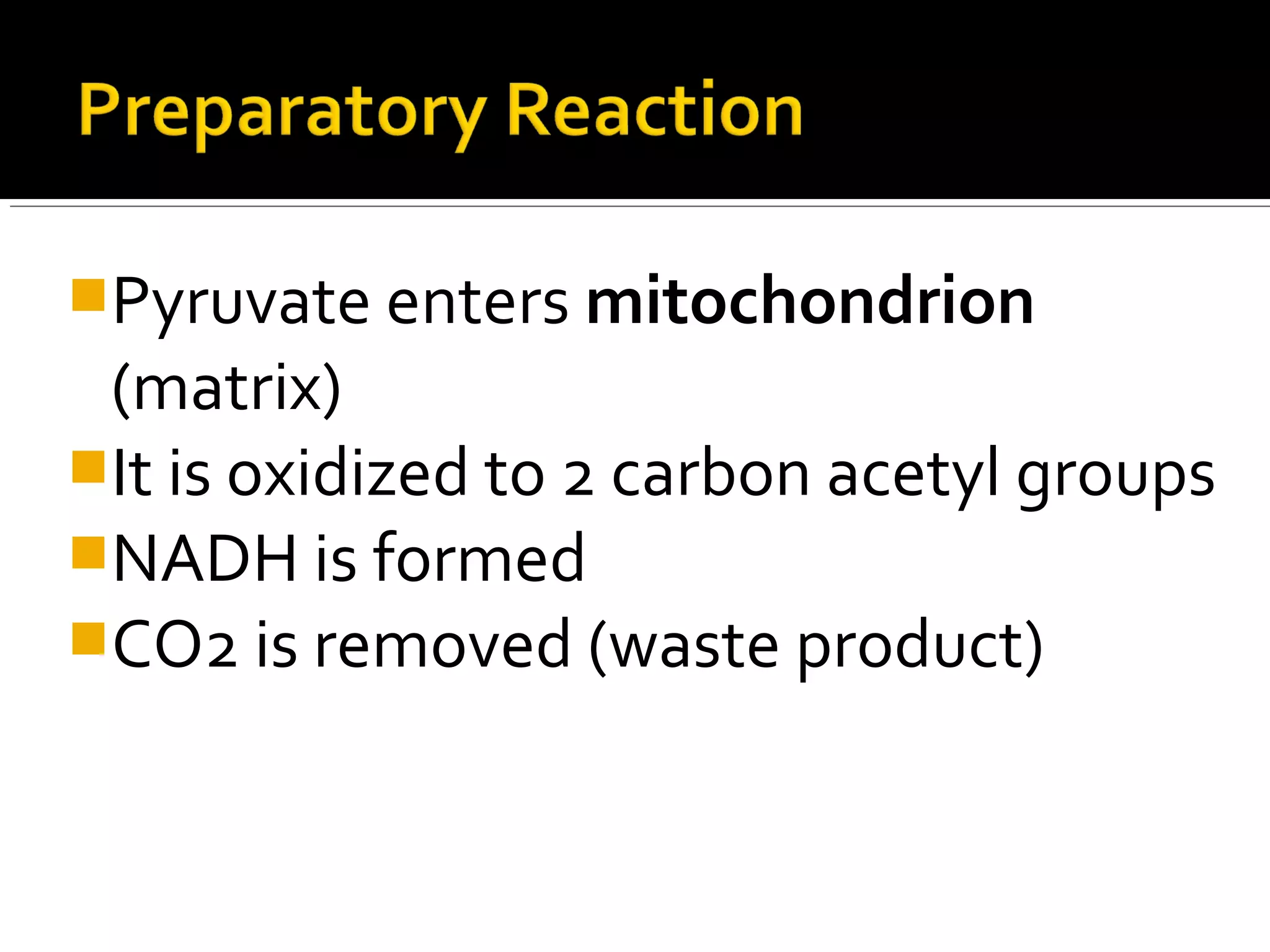 Pyruvate enters mitochondrion
 (matrix)
It is oxidized to 2 carbon acetyl groups
NADH is formed
CO2 is removed (waste product)
 
