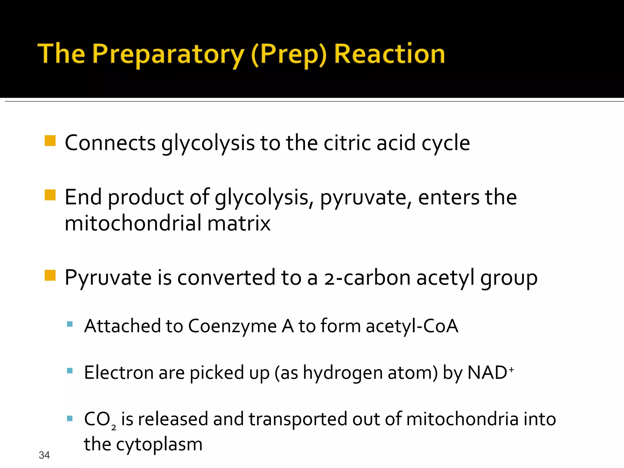     Connects glycolysis to the citric acid cycle

    End product of glycolysis, pyruvate, enters the
     mitochondrial matrix

    Pyruvate is converted to a 2-carbon acetyl group
      Attached to Coenzyme A to form acetyl-CoA

      Electron are picked up (as hydrogen atom) by NAD +

      CO2 is released and transported out of mitochondria into
34
       the cytoplasm
 