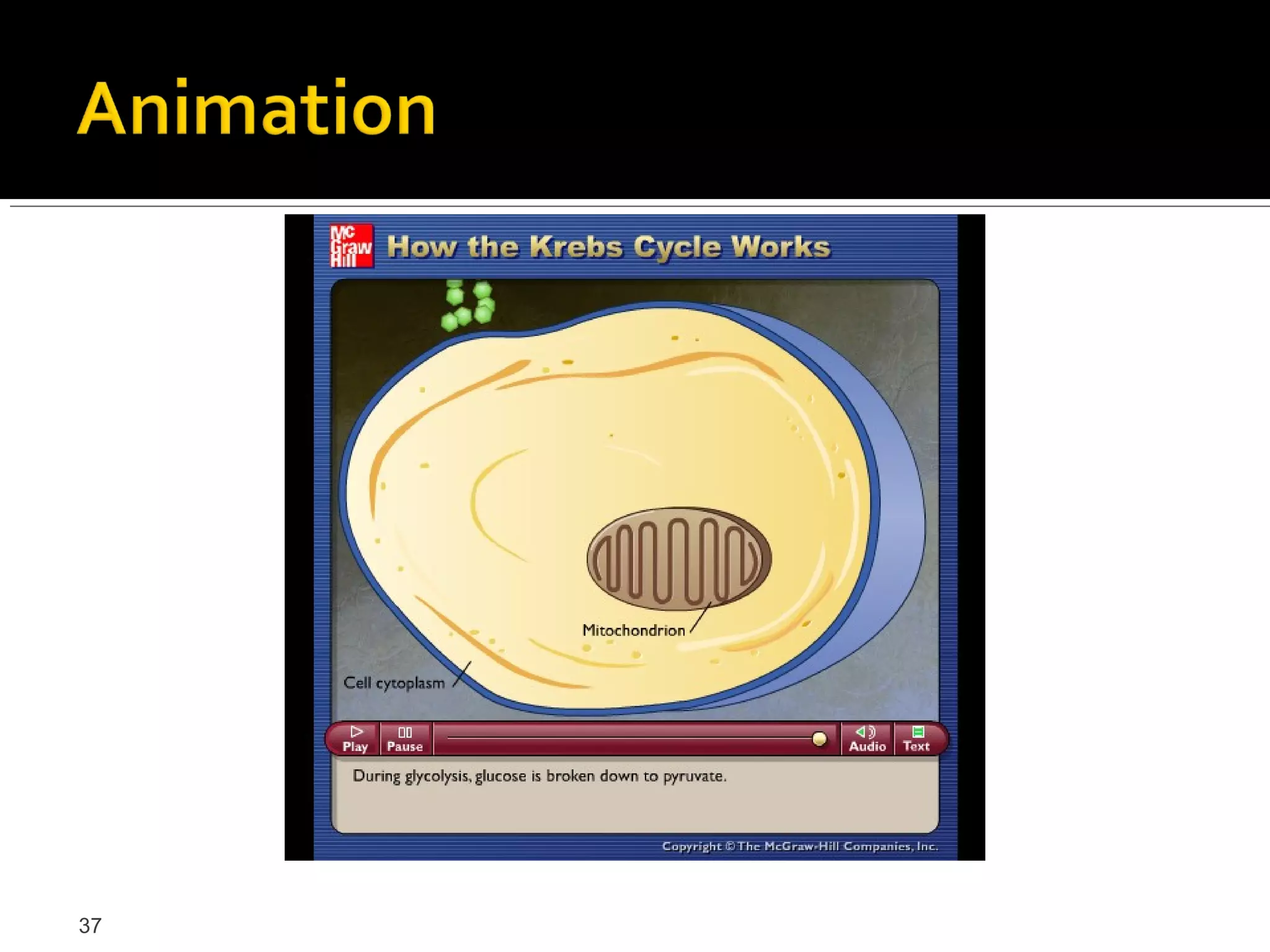 Please note that due to differing
     operating systems, some animations
     will not appear until the presentation is
     viewed in Presentation Mode (Slide
     Show view). You may see blank slides
     in the “Normal” or “Slide Sorter” views.
     All animations will appear after viewing
     in Presentation Mode and playing each
     animation. Most animations will require
     the latest version of the Flash Player,
     which is available at
     http://get.adobe.com/flashplayer.




37
 