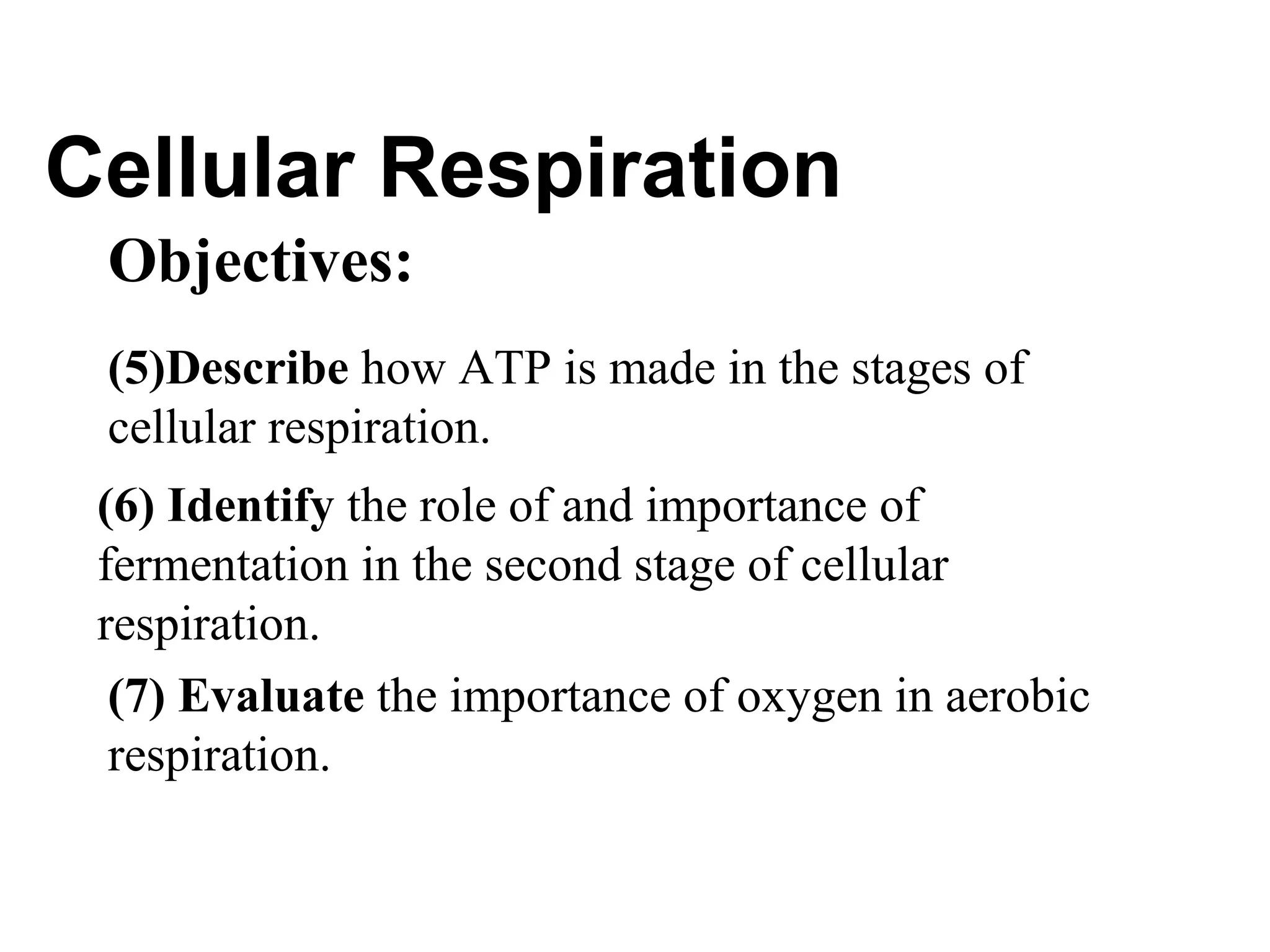 Cellular Respiration
 Objectives:
 (5)Describe how ATP is made in the stages of
 cellular respiration.
 (6) Identify the role of and importance of
 fermentation in the second stage of cellular
 respiration.
  (7) Evaluate the importance of oxygen in aerobic
  respiration.
 