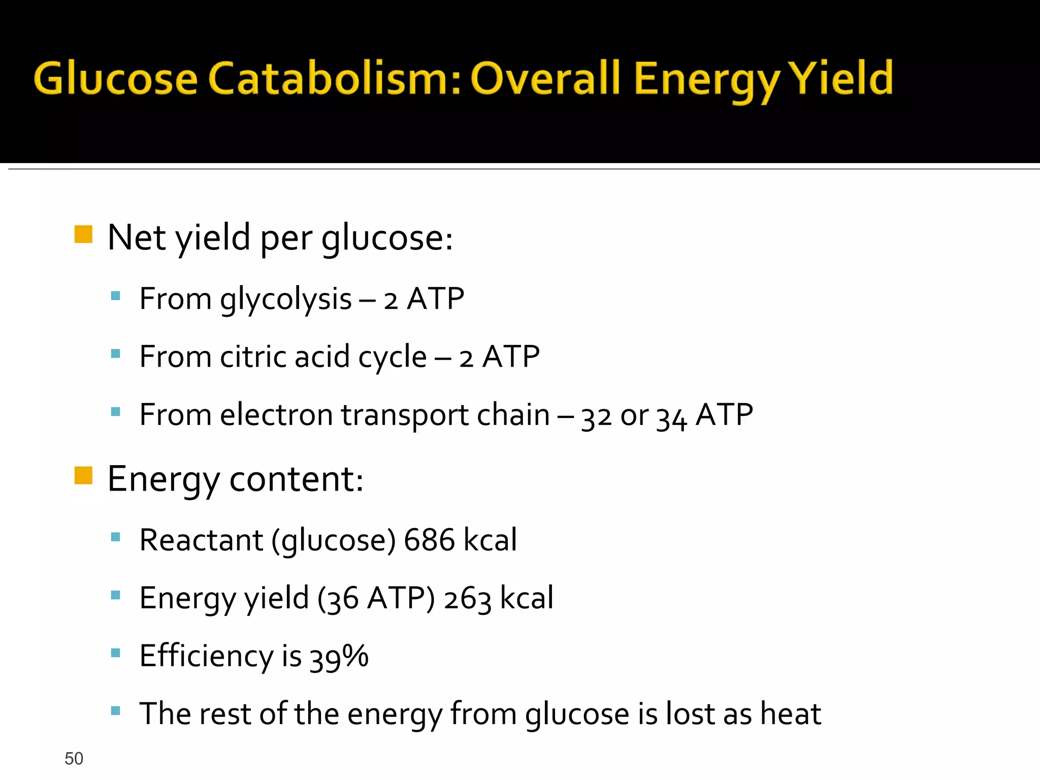     Net yield per glucose:
      From glycolysis – 2 ATP
      From citric acid cycle – 2 ATP
      From electron transport chain – 32 or 34 ATP

    Energy content:
      Reactant (glucose) 686 kcal
      Energy yield (36 ATP) 263 kcal
      Efficiency is 39%
      The rest of the energy from glucose is lost as heat
50
 