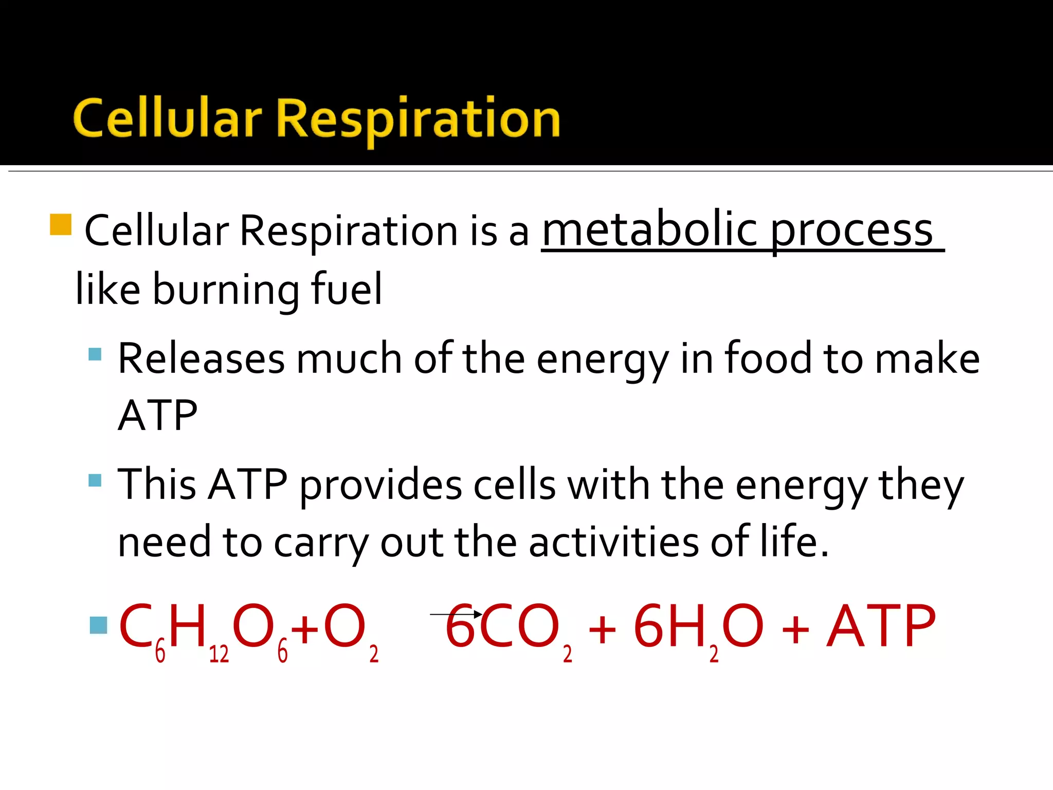  Cellular Respiration is a metabolic process
 like burning fuel
   Releases much of the energy in food to make
    ATP
   This ATP provides cells with the energy they
    need to carry out the activities of life.
  C6H12O6+O2       6CO2 + 6H2O + ATP
 
