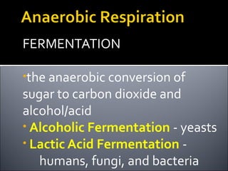 FERMENTATION

•the anaerobic conversion of
sugar to carbon dioxide and
alcohol/acid
• Alcoholic Fermentation - yeasts
• Lactic Acid Fermentation -
   humans, fungi, and bacteria
 