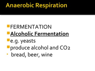 FERMENTATION
Alcoholic Fermentation
e.g. yeasts
produce alcohol and CO2
•   bread, beer, wine
 