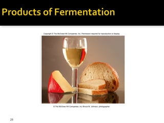 Copyright © The McGraw-Hill Companies, Inc. Permission required for reproduction or display.




                © The McGraw Hill Companies, Inc./Bruce M. Johnson, photographer




28
 