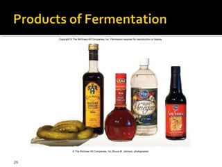 Copyright © The McGraw-Hill Companies, Inc. Permission required for reproduction or display.




                 © The McGraw Hill Companies, Inc./Bruce M. Johnson, photographer



29
 