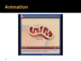 Please note that due to differing
     operating systems, some animations
     will not appear until the presentation is
     viewed in Presentation Mode (Slide
     Show view). You may see blank slides
     in the “Normal” or “Slide Sorter” views.
     All animations will appear after viewing
     in Presentation Mode and playing each
     animation. Most animations will require
     the latest version of the Flash Player,
     which is available at
     http://get.adobe.com/flashplayer.




47
 