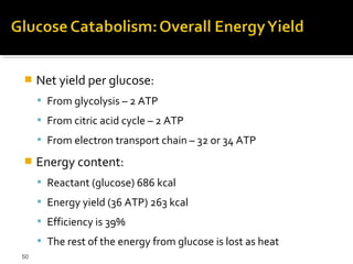     Net yield per glucose:
      From glycolysis – 2 ATP
      From citric acid cycle – 2 ATP
      From electron transport chain – 32 or 34 ATP

    Energy content:
      Reactant (glucose) 686 kcal
      Energy yield (36 ATP) 263 kcal
      Efficiency is 39%
      The rest of the energy from glucose is lost as heat
50
 