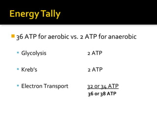  36 ATP for aerobic vs. 2 ATP for anaerobic

   Glycolysis            2 ATP

   Kreb’s                2 ATP

   Electron Transport    32 0r 34 ATP
                          36 or 38 ATP
 