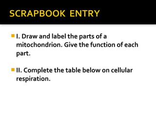  I. Draw and label the parts of a
 mitochondrion. Give the function of each
 part.

 II. Complete the table below on cellular
 respiration.
 