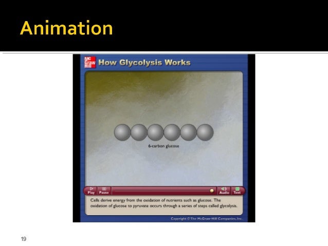 cellular respiration 2012 how glycolysis works
