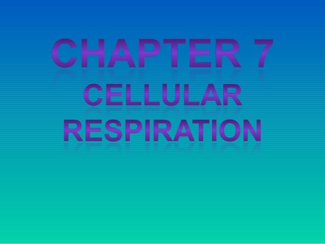 Chapter 7 Cellular Respiration