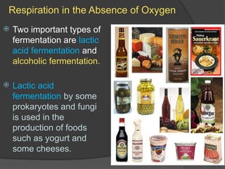 Fermentation Process In Cellular Respiration cellular respiration process in 2f .pptx