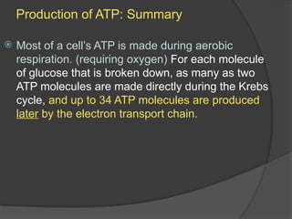 cellular respiration process in 2f .pptx