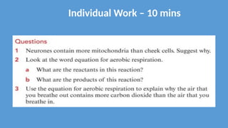 Individual Work – 10 mins
 