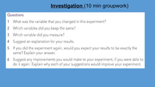 Investigation (10 min groupwork)
 