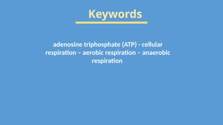 Keywords
adenosine triphosphate (ATP) - cellular
respiration – aerobic respiration – anaerobic
respiration
 