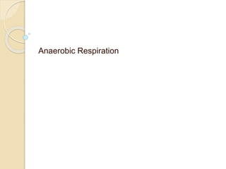 Anaerobic Respiration
 