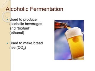 Alcoholic Fermentation
 Used to produce
alcoholic beverages
and “biofuel”
(ethanol)
 Used to make bread
rise (CO2)
 