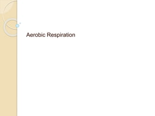 Aerobic Respiration
 