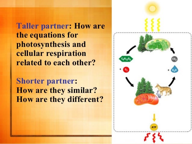 Environmental chemistry research paper topics picture 2